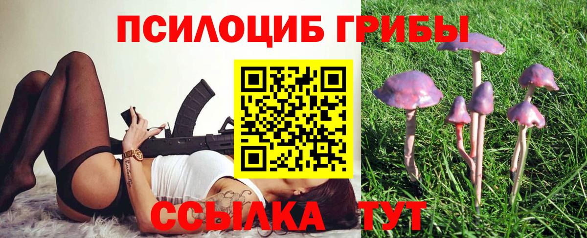 Псилоцибиновые грибы MAGIC MUSHROOMS Ивантеевка